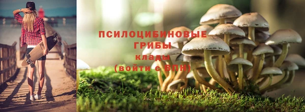 МДМА Горняк