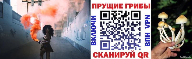 Галлюциногенные грибы прущие грибы  Норильск 